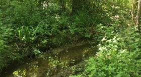 Enquête publique relative au programme pluriannuel de restauration, d'entretien et de maîtrise du ruissellement des bassins versants des affluents de l'Aisne