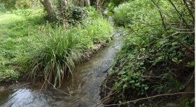 Enquête publique concernant le programme pluriannuel d'entretien et de restauration des cours d'eau du bassin versant de l'Ourcq amont