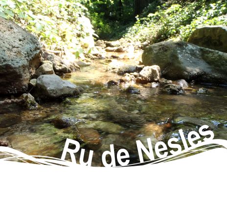 Ru de Nesles