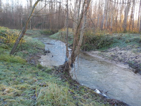 Dérasement du seuil du moulin de Brumetz - Terminé