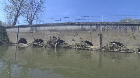 Désembâclement de la rivière Oise et de ses différents bras - Programme 1 - Tranche 1 - terminé
