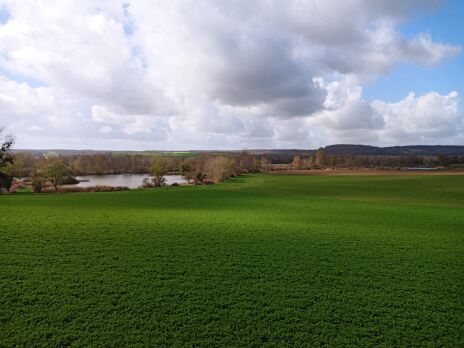 Etude du fonctionnement de la tourbière du marais de Saint Gond